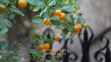 Climate Data For Almàssera, Spain